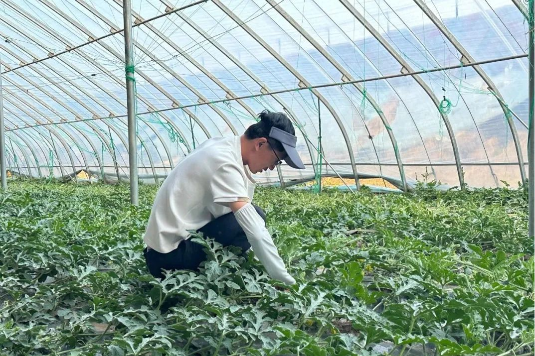 图片6_副本.png