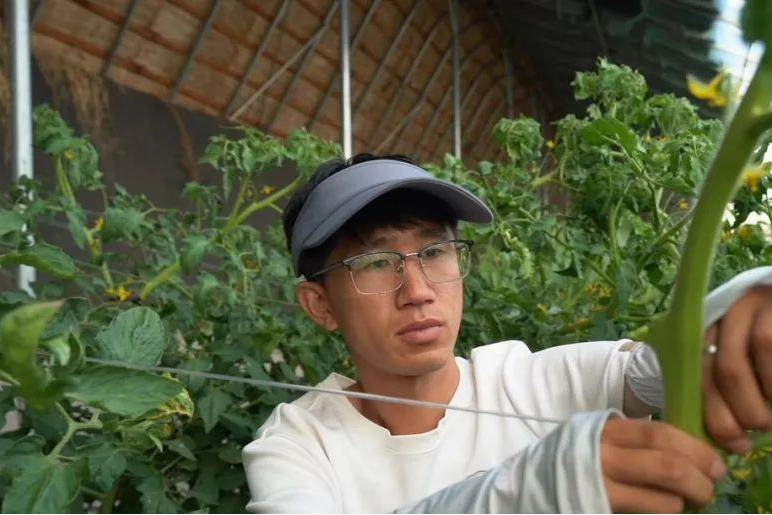 图片2_副本.png
