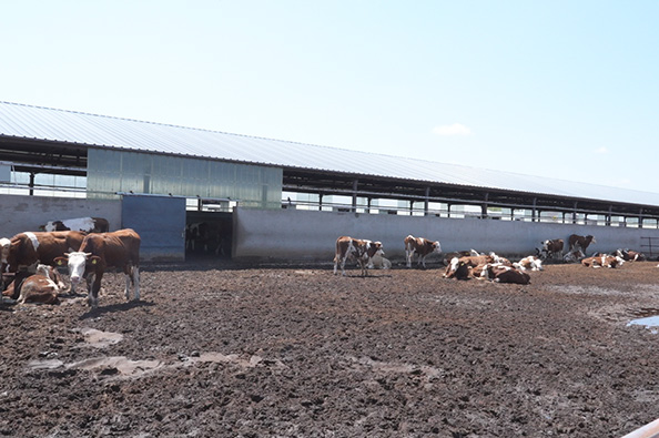 1753065104544254.jpg 33.jpg