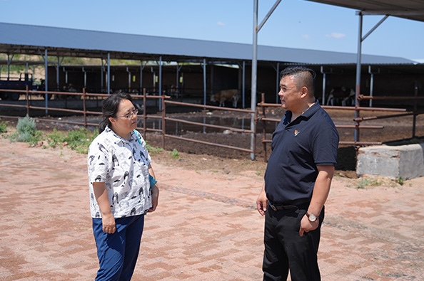 1753065078206732.jpg 11.jpg