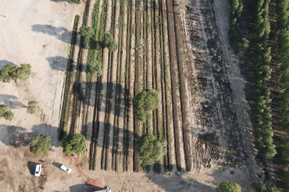 1753065124776884.jpg 44.jpg