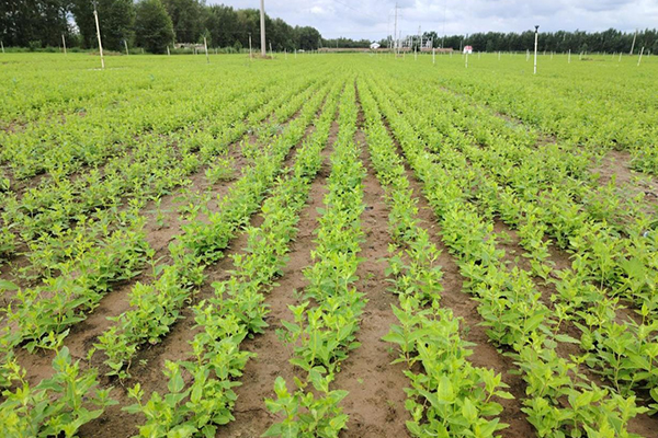 1759143071760817.jpg 3.jpg