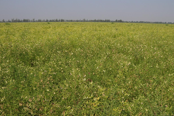 1759143057850654.jpg 2.jpg