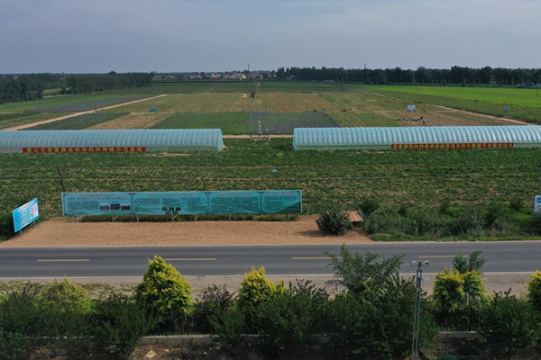 1759143035133926.jpg 1.jpg