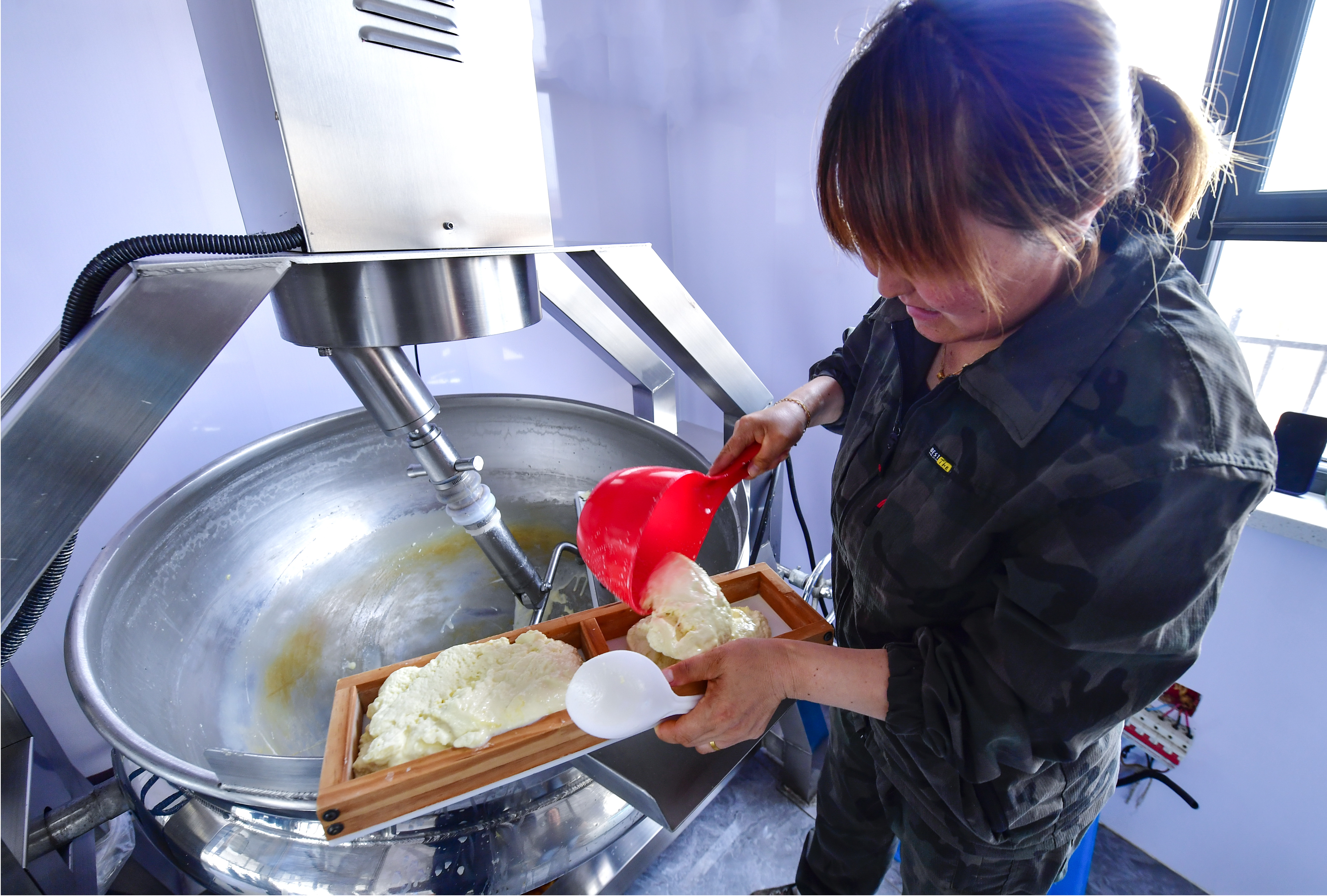 将奶豆腐装入模具。摄影：张启民.jpg