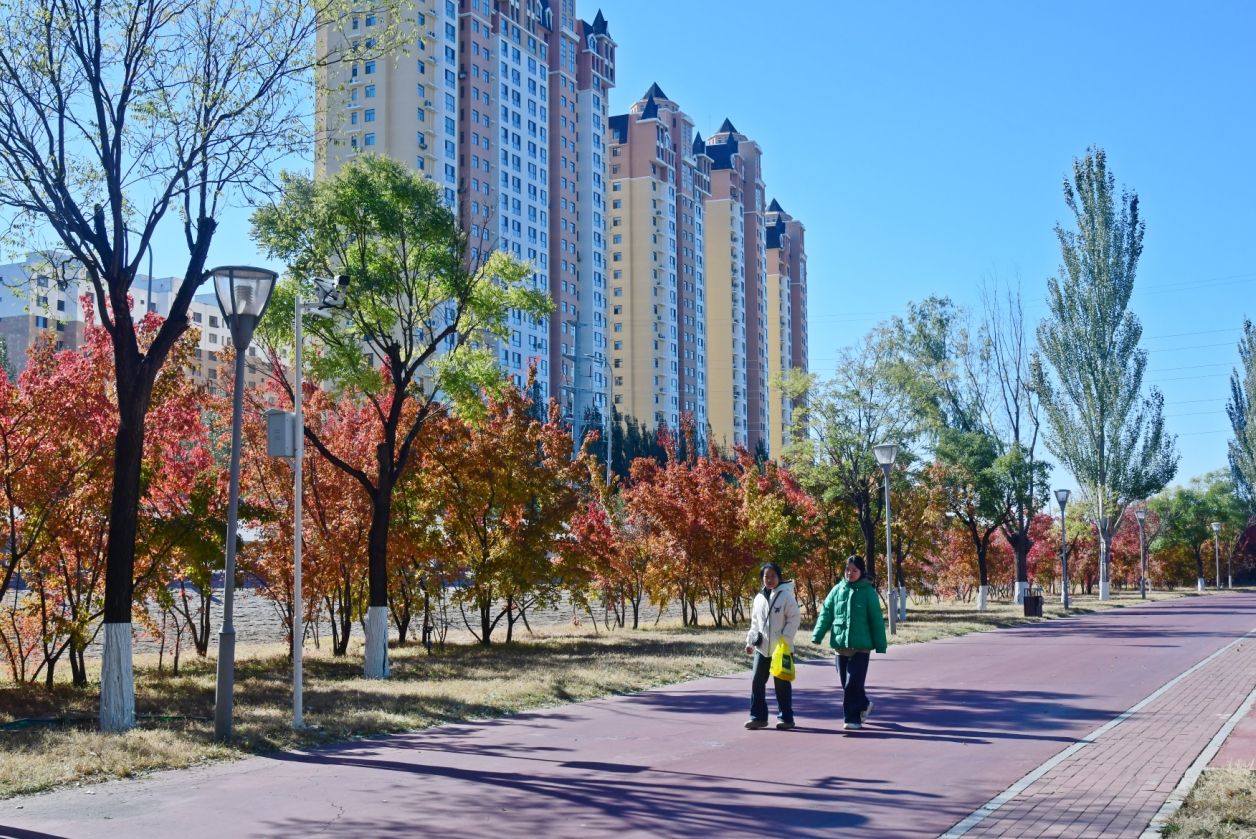 11微信截图_20251023162759.png