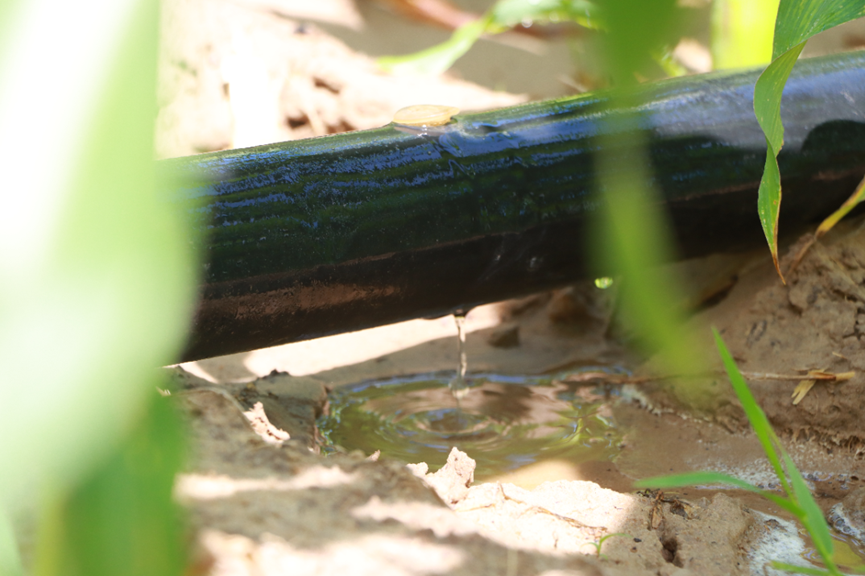 1761739008458118.png 8.png