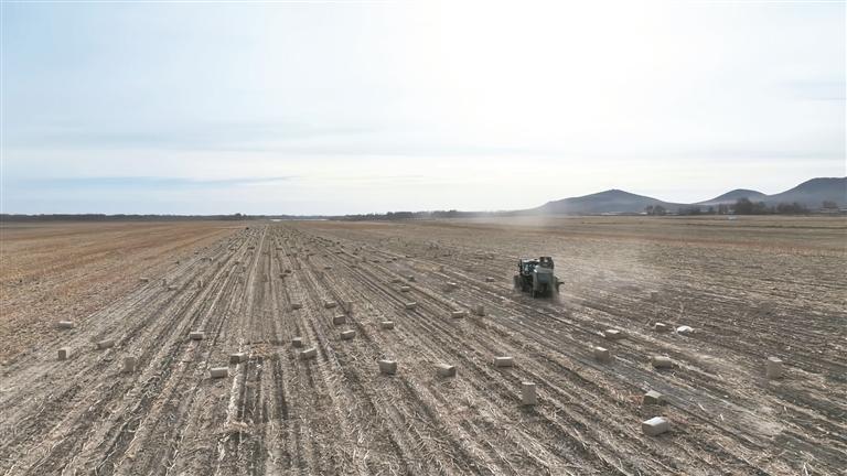 1764809160305233.jpg 23857ffc45860bbff724d5e2e701c0e.jpg