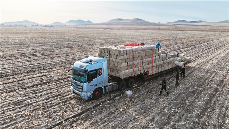 1764809177583542.jpg 4eb42139ae7b6f7d184422c4d32d394.jpg