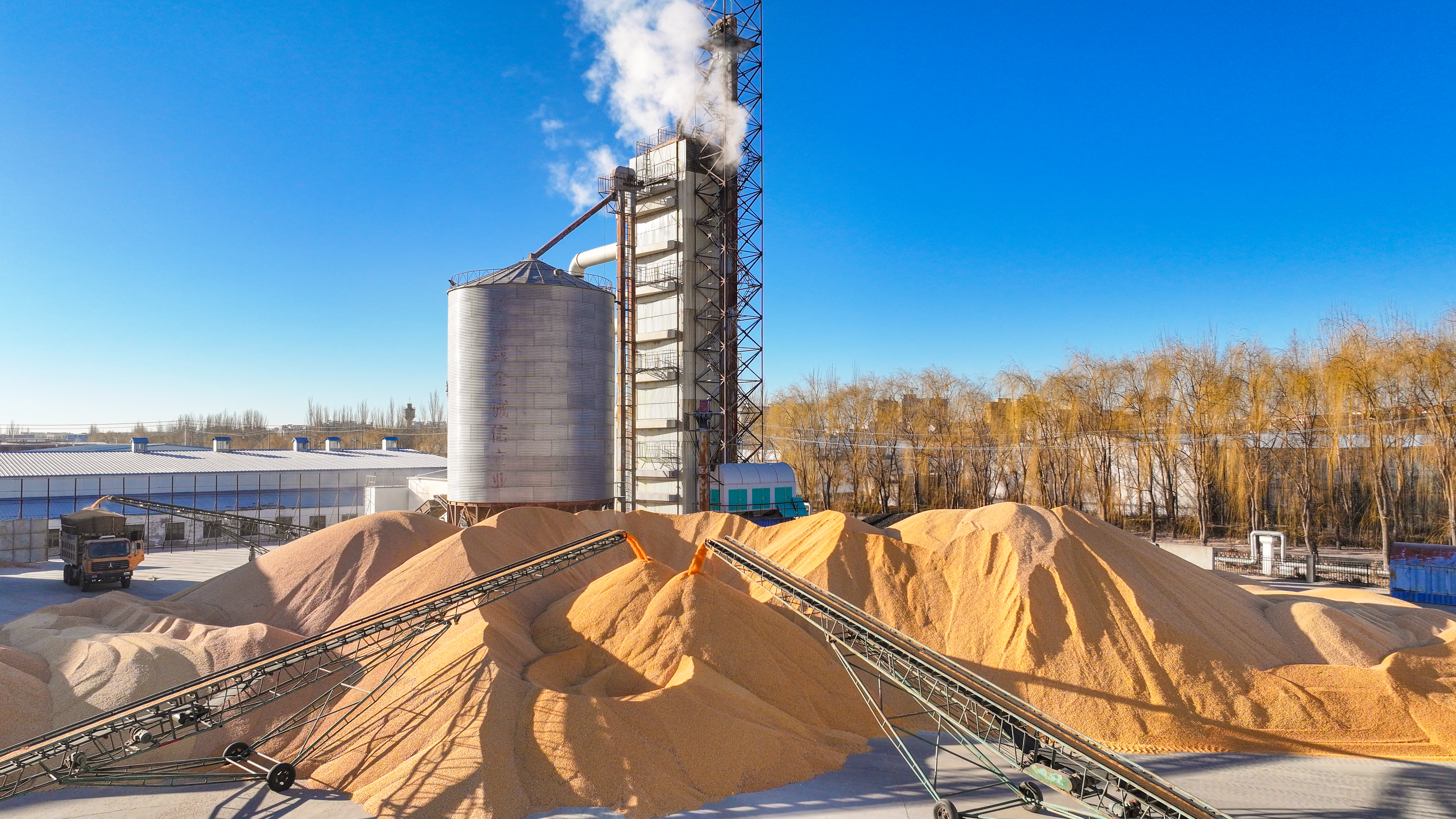 图为烘干仓满负荷运转场景。 （王呼斯冷 摄）.JPG