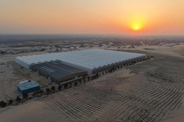 1765762051512568.jpg LOCAL1765524914573E30AIGI9V0.jpg