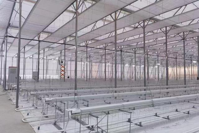 1765762064488306.jpg LOCAL1765524942322BUJS2MWSZ2.jpg