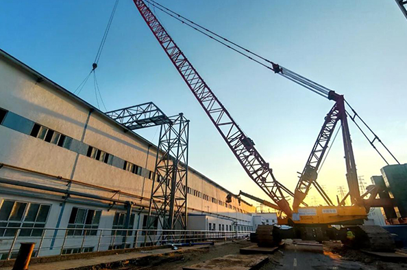 1766537657283639.jpg 11.jpg