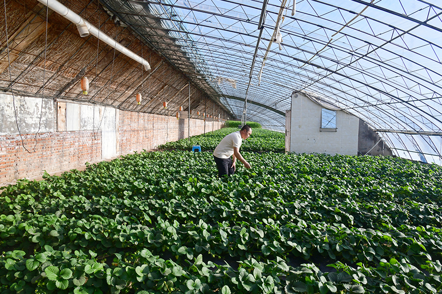 1767514679302881.jpg DSC_8997.JPG