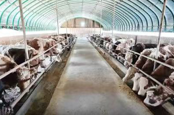 1768977063968355.jpg 22.jpg