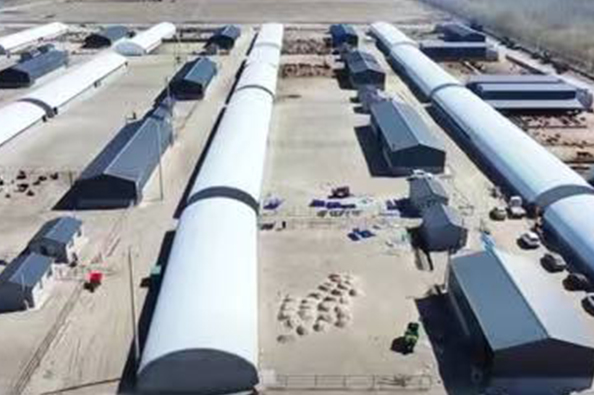 1768977043709120.jpg 11.jpg