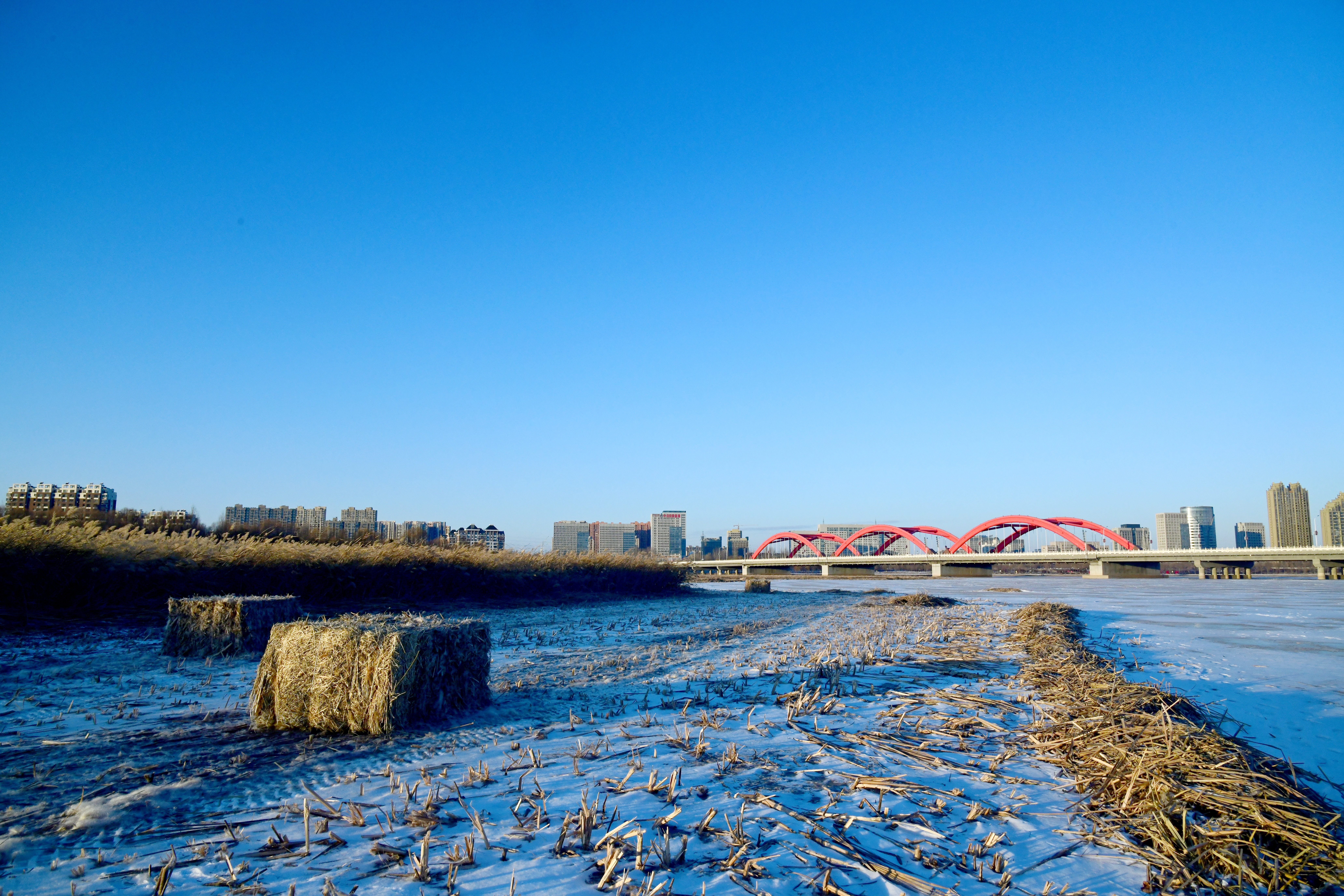 1772089407364897.jpg 冬季的辽河公园。 邵南 摄.jpg