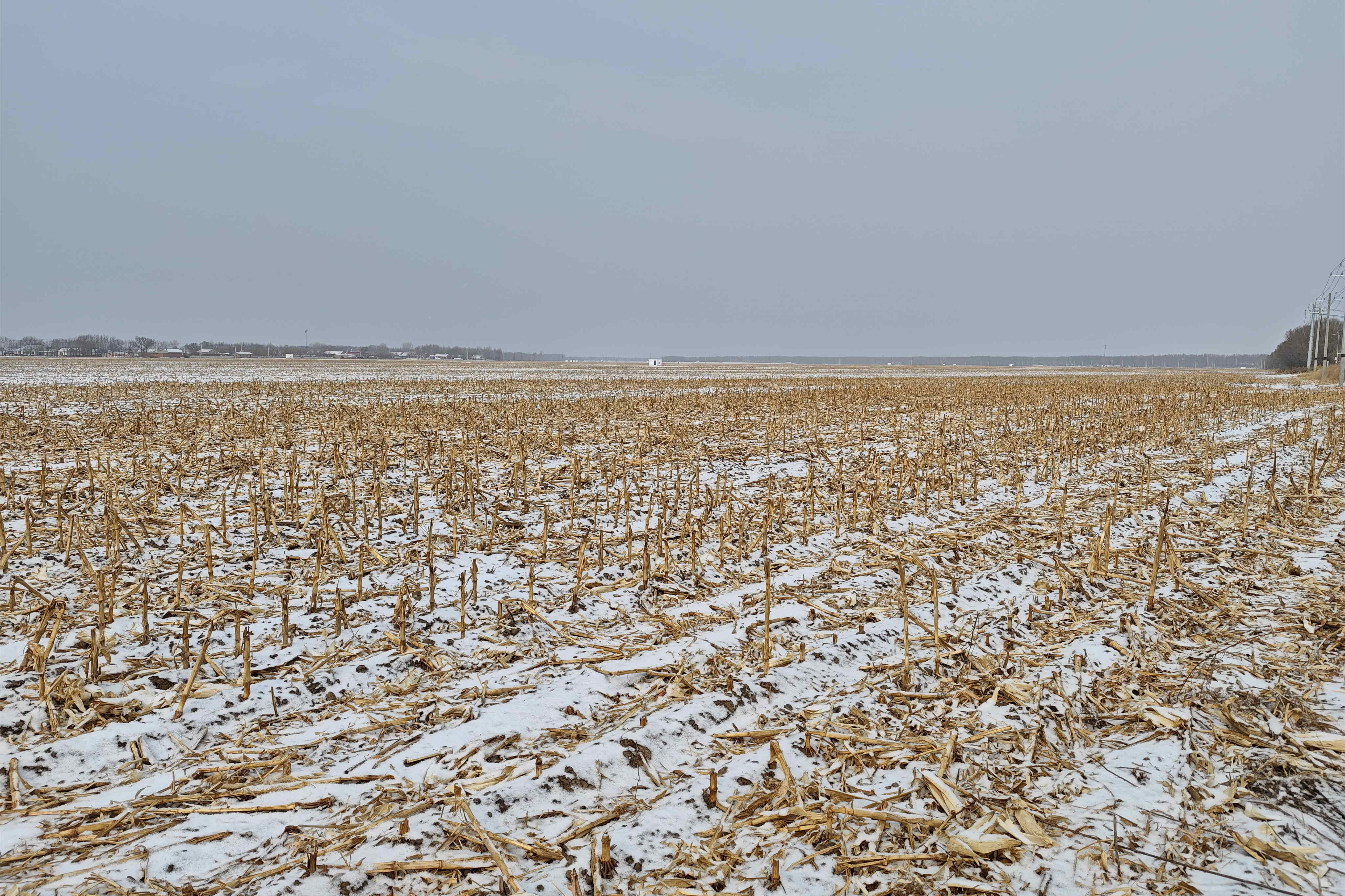 1772522399730616.jpg 微信图片_20260303145815_2225_94.jpg