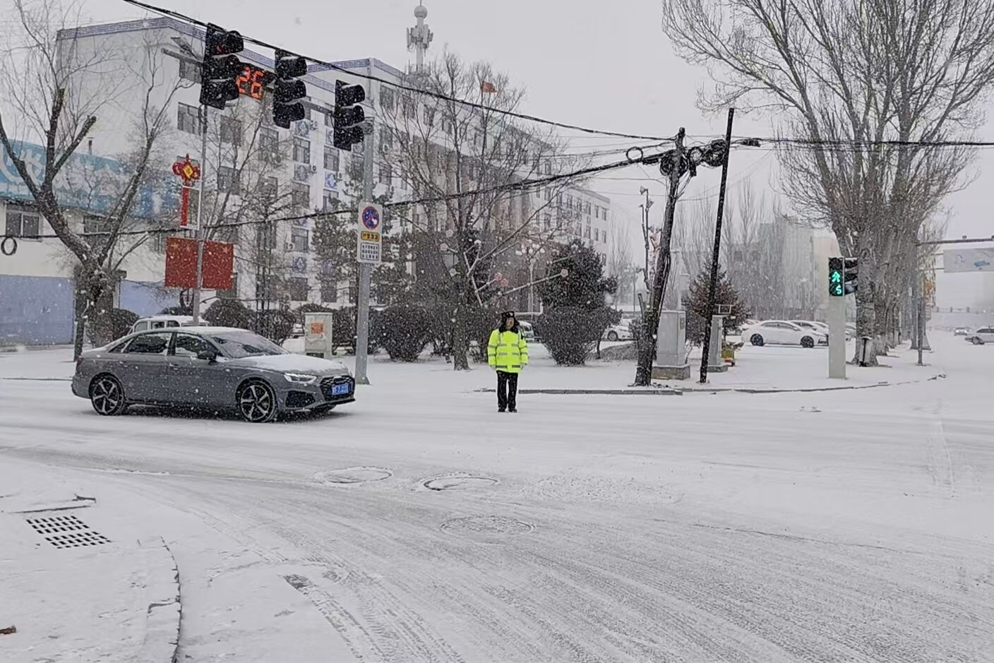 1772522227507456.jpg 微信图片_20260303145811_2223_94.jpg