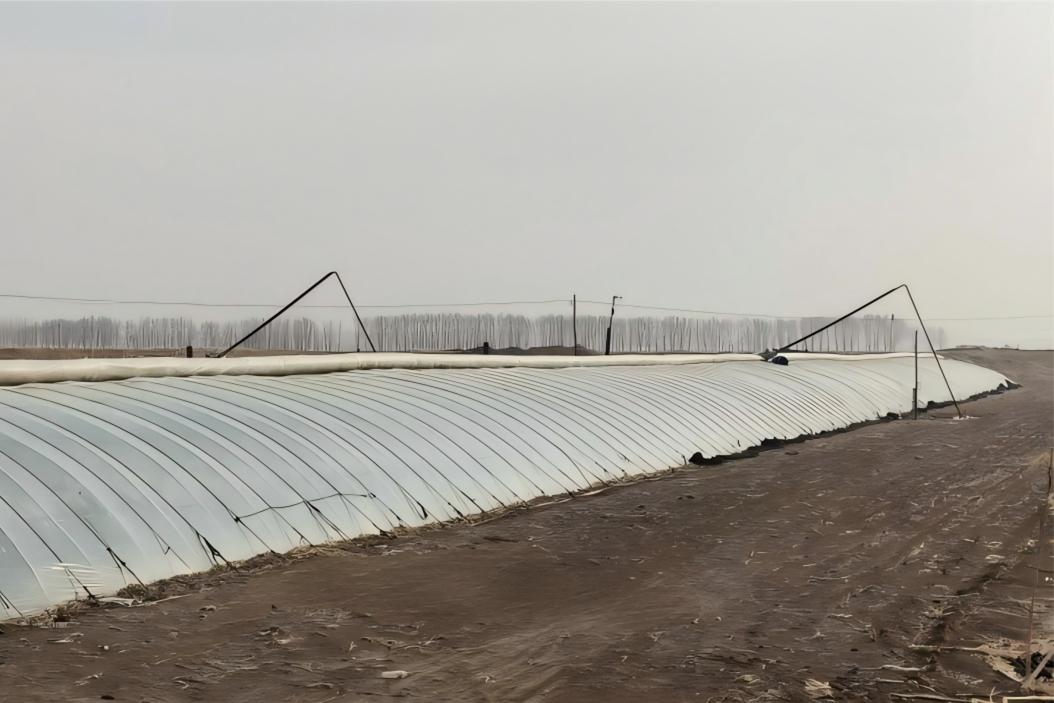 1774145098853699.jpg 图片1_副本.jpg