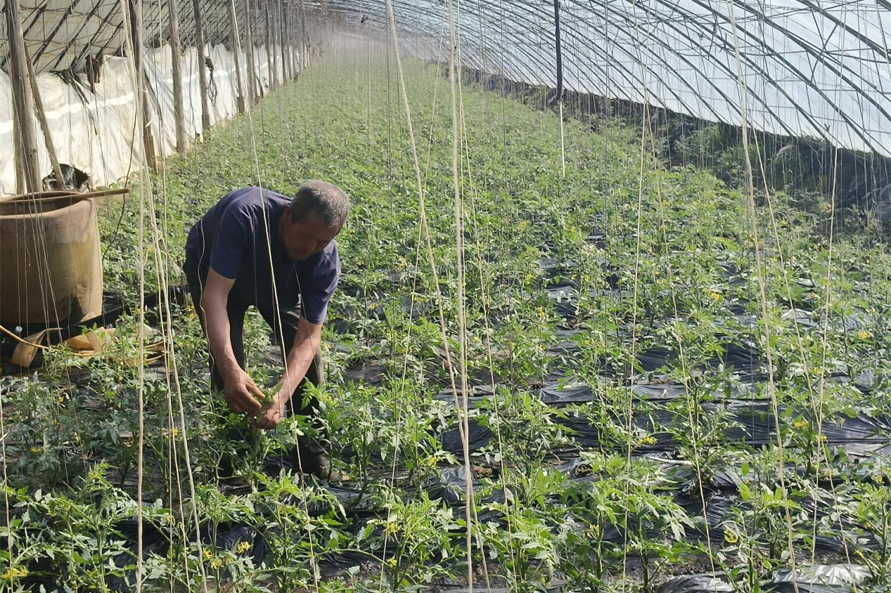 1774145118621280.jpg 图片3_副本.jpg