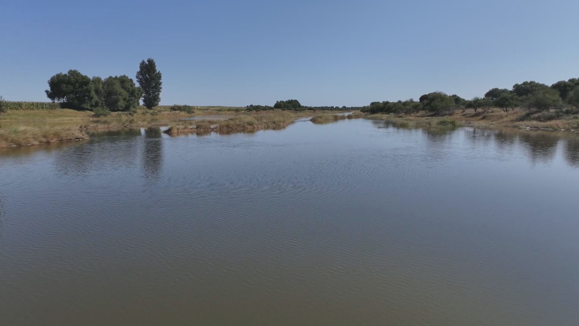 1774861737141299.png 图片4.png