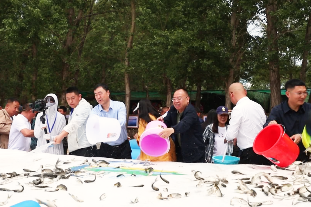 1780739402933646.png 图片2.png