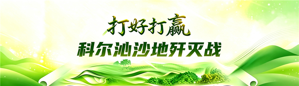 科尔沁沙地歼灭战.jpg