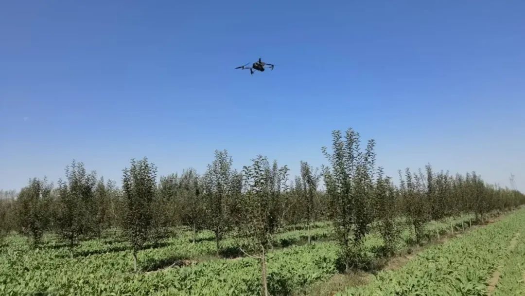 微信图片_20250805092356.jpg